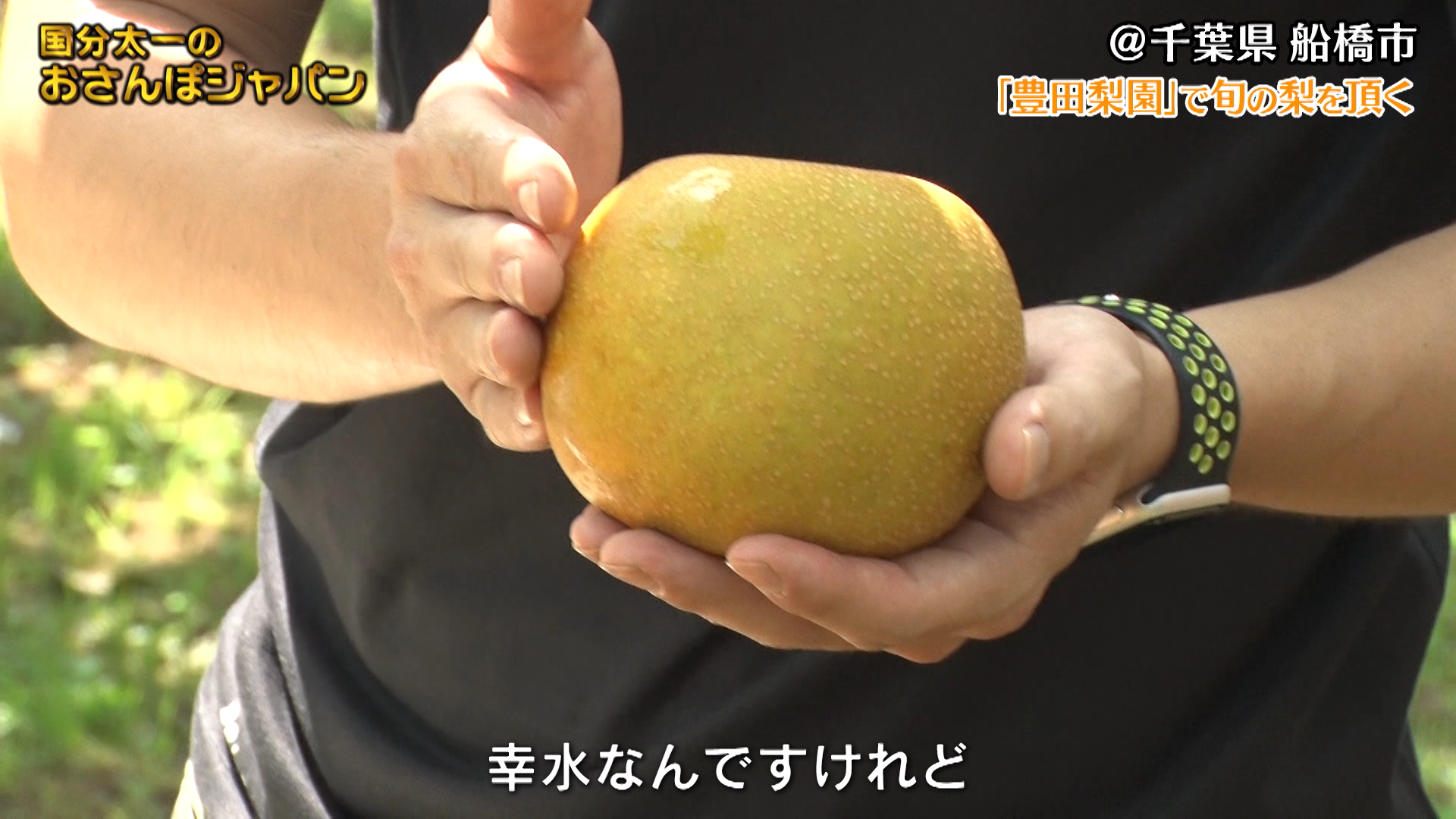 千葉県船橋市「旬を迎えた梨を頂きます」 | 国分太一のおさんぽジャパン